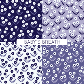 BABY'S BREATH-07